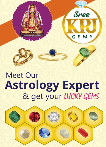 Astrology consultation in Chennai